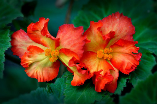 749180 (a): :2048x1360
